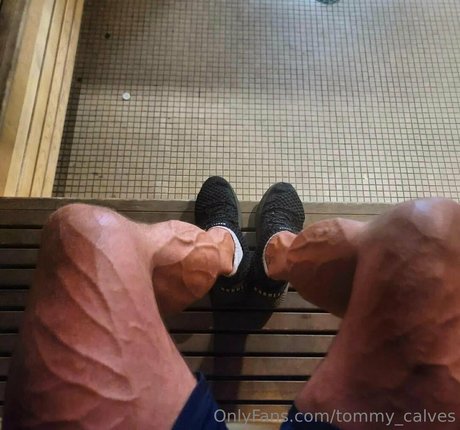Tommy_calves
