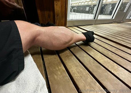 Tommy_calves