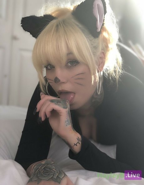 Hayleyb