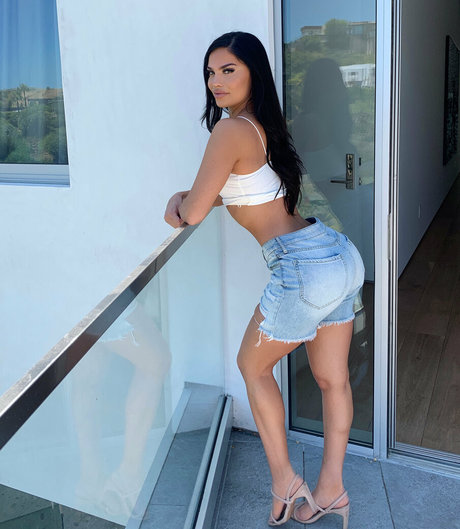 Toriprincess