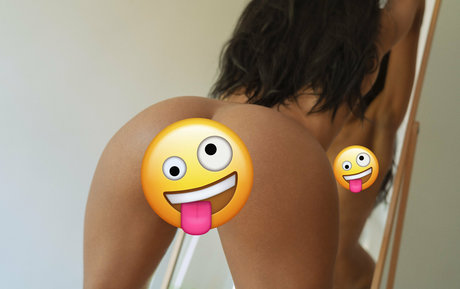 Nellymodel