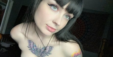 Elizabeththekitten