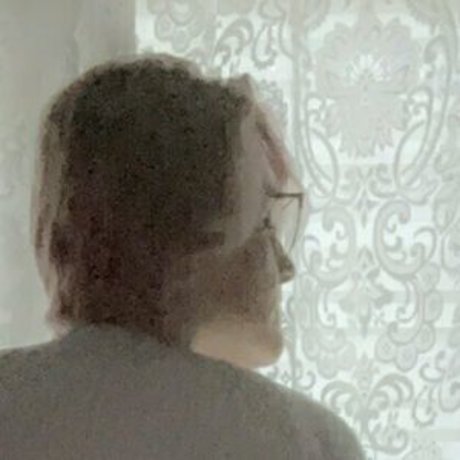 Elektrastraussmonroe