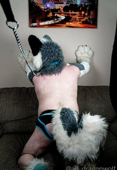 Addragonwolf