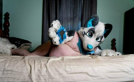 Addragonwolf
