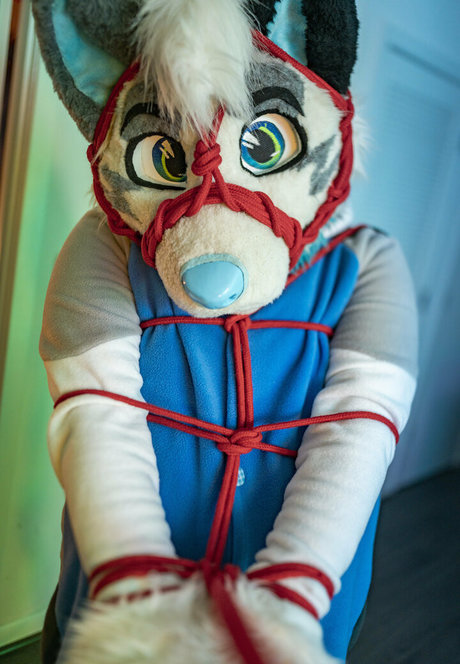 Naakte gelekte OnlyFans-foto van Addragonwolf