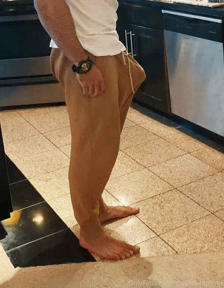 Thefackelmayer