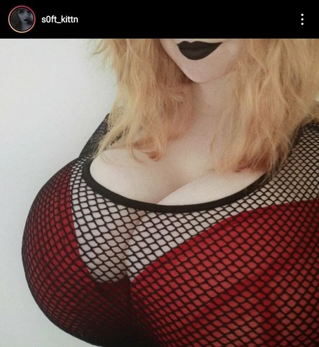 Softkittn