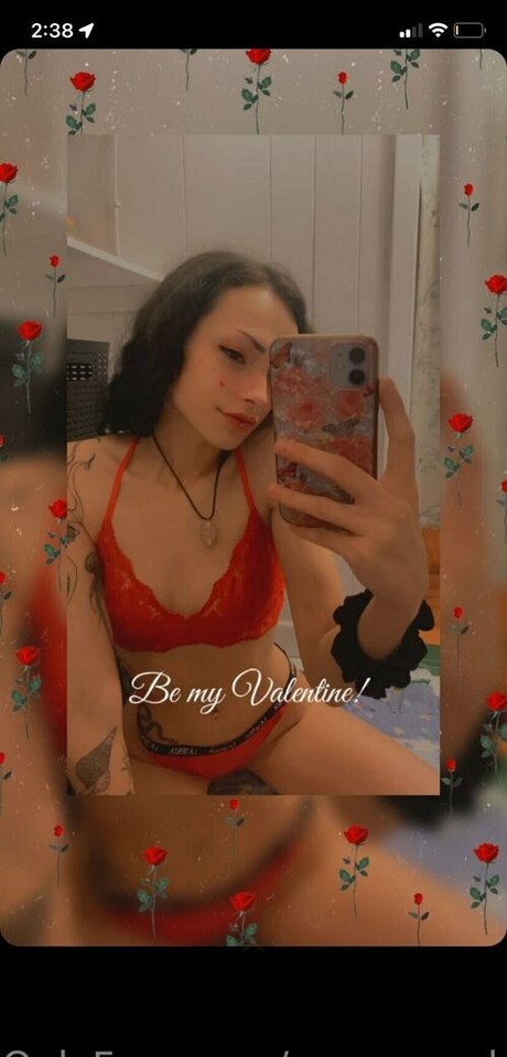 Blossomingvixen