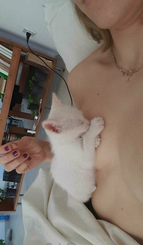Naakte gelekte OnlyFans-foto van Peqqq
