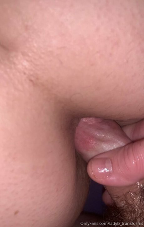 Ladyb_transforms
