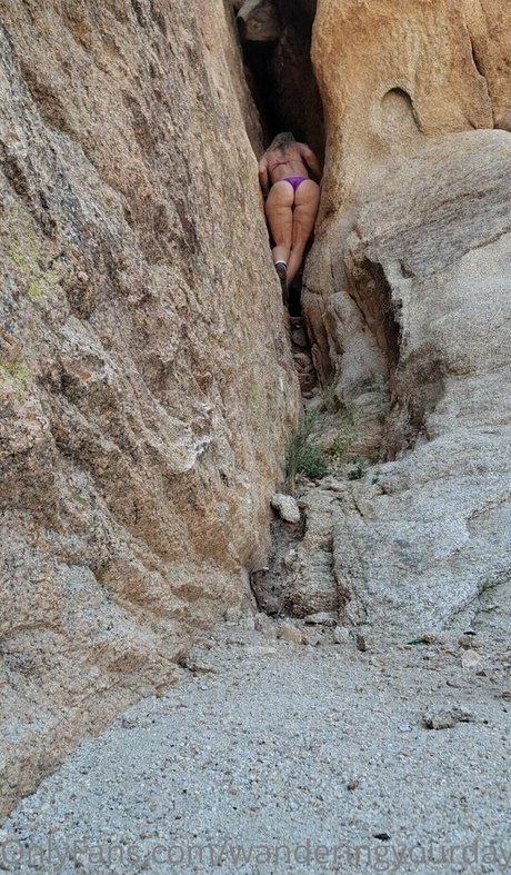 Wanderingyourdaydreams