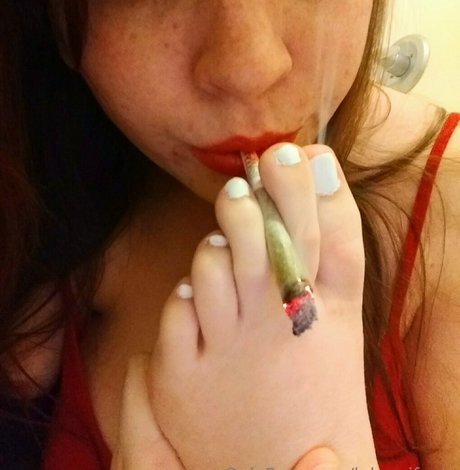 Lelannifeets