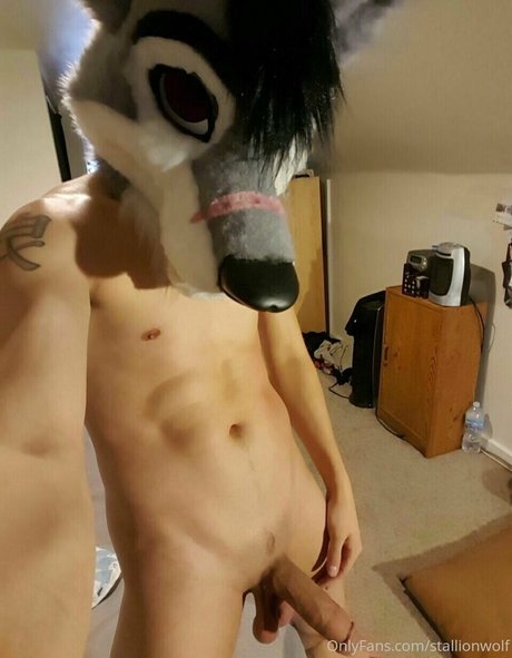 Stallionwolf