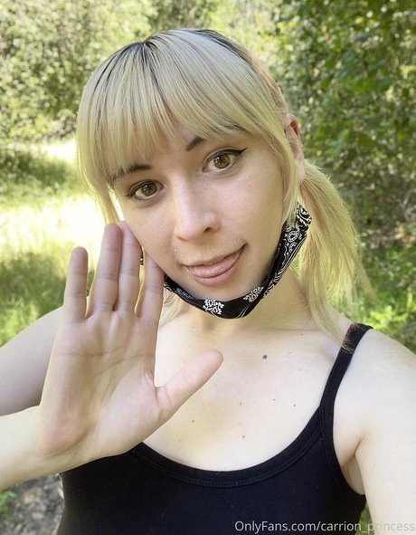 Naakte gelekte OnlyFans-foto van Carrionprincess