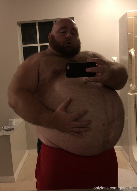 Gainerbull