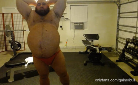 Gainerbull