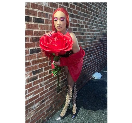 Darirose