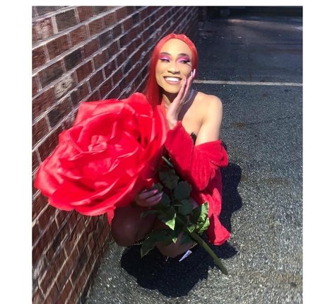 Darirose