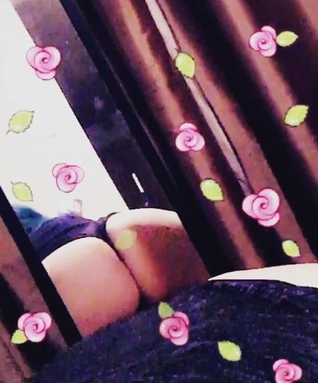 Rainiswet